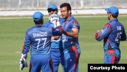 afghan cricket 33