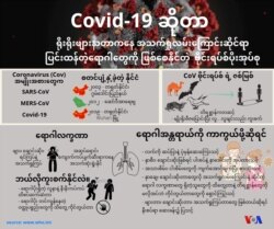 covid 19