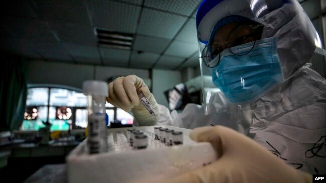 中国一名医护人员拿着新冠病毒感染者的样本准备进行核酸检测。资料照：2020年3月10日。