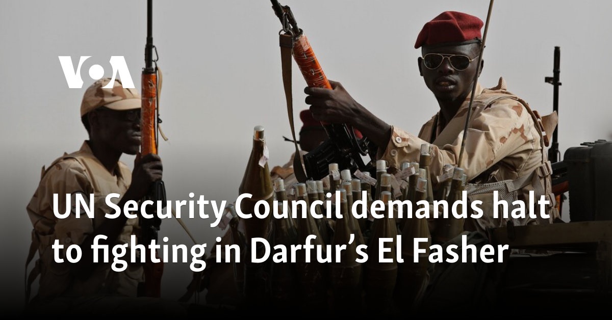 UN Security Council demands halt to fighting in Darfur’s El Fasher