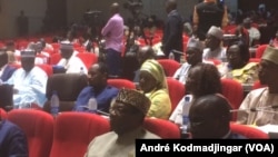 Lors de la séance à l'Assemblée nationale, au Tchad, le 30 avril 2018. (VOA/André Kodmadjingar)