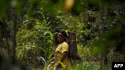 Un evento organizado en el Atlantic Council, en Washington DC, aborda el martes 10 de diciembre de 2019 el tema de la minería ilegal y su impacto en Venezuela.