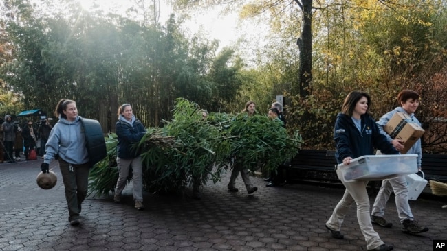 Personal del zoológico de Washington prepararon bocadillos para el viaje de Bei Bei que dura 16 hora, sin escalas.