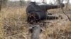 The carcass of an elephant killed by Sudanese poachers in Cameroon's Bouba Ndjida National Park near the border with Chad border in 2012.