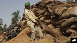 A laborer pulls at a sack of rotting wheat grain to try to salvage any that was still edible, at an open storage area in Khamanon village, some 215 kilometers (133 miles) from Amritsar, India. 