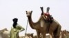 Tuareg Leaders in Niger and Mali Urge Tuareg in Libya to Work With NTC
