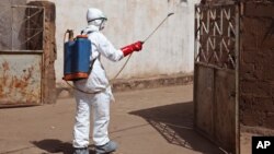 Un trabajador de la salud aplica desinfectante en una mezquita en Mali. La OPS impartirá un taller para el manejo de casos de ébola en Latinoamérica.