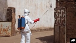 Seorang petugas kesehatan menyemprotkan disinfektan dekat sebuah masjid di Bamako, Mali, setelah jenazah seorang pria yang diduga terkena Ebola dimandikan di sana. 