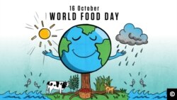 World Food Day