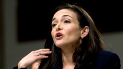 In this file photo, Facebook COO Sheryl Sandberg testifies before the Senate Intelligence Committee hearing on 'Foreign Influence Operations and Their Use of Social Media Platforms' on Capitol Hill, Sept. 5, 2018, in Washington.