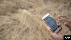 This photo taken on December 27, 2017 shows a farmer using a mobile app while working in a rice field on the outskirts of Yangon.