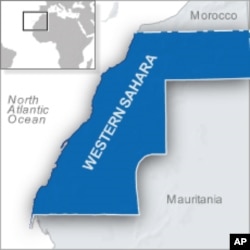 Western Sahara separatists enjoy a degree of international support, but some question if it can stand alone, or contribute to regional security