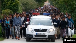 Xe cảnh sát dẫn đường cho người di cư khi họ đi bộ về phía biên giới Áo từ Hegyeshalom, Hungary, ngày 24 tháng 9, 2015.