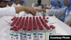 Lab workers in the Bandung BioFarma facility in Indonesia examine vials that have vaccine vial monitor technology incorporated into their labels, in Bandung, Indonesia, February 2017. (U. Kartoglu/PATH)