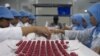 FILE - Lab workers in the Bandung Bio Farma facility in Indonesia examine vials that have vaccine vial monitor technology incorporated into their labels, in Bandung, Indonesia, February 2017. (U. Kartoglu/PATH)