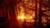 Vagtrogasci pokušavaju da ugase požar u zajednici Šejver lejk u Kaliforniji, 7. septembar 2020.(Foto: AP/Noah Berger)