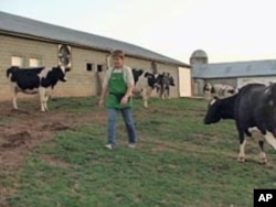 Mary Jane Roop used to run a dairy farm but now relies increasingly on tourists to boost profits.