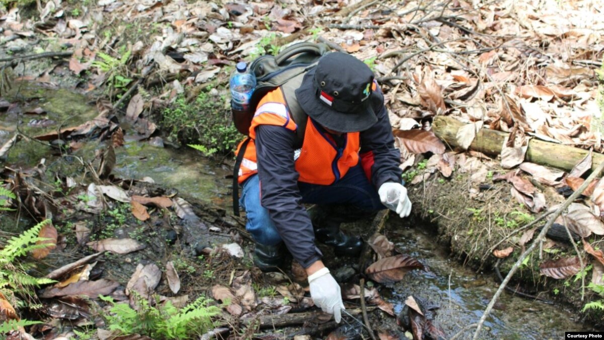 Pemerintah Kabupaten Poso Targetkan Eradikasi Schistosomiasis