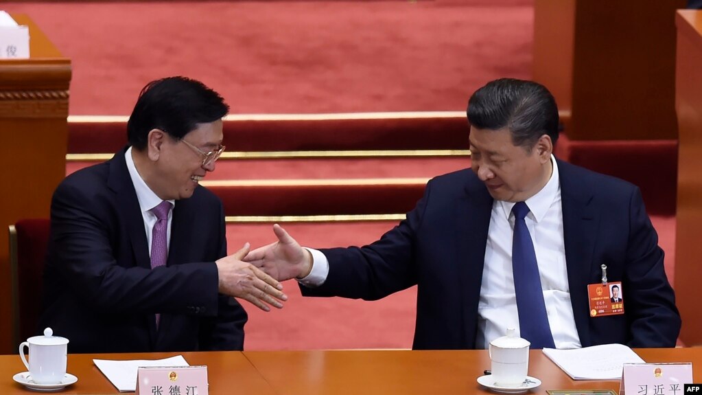 中国国家主席习近平在人大会议上与人大委员长张德江握手