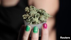 La discusión sobre la legalización de la marihuana ha cobrado fuerza en los últimos meses en EE.UU.
