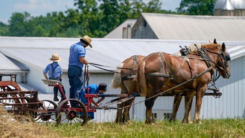 Many Amish in America Unsure About Vaccination