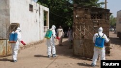 FILE - Health workers spray disinfectant at a mosque, in Bamako, Mali, November 2014.