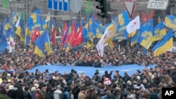 Demonstranti u Kijevu nose zastave Evropske unije, Ukrajina, 24. novembar, 2013. 