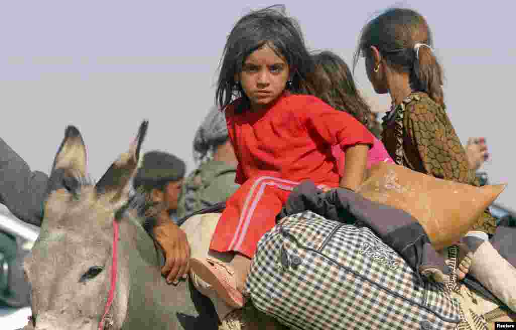 Displaced children from the minority Yazidi sect, fleeing violence from forces loyal to the Islamic State ride on a donkey as they head towards the Syrian border, on the outskirts of Sinjar mountain, near the Syrian border town of Elierbeh of Al-Hasakah Governorate, Aug. 11, 2014. &nbsp;