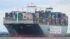 Situs Data: Lalu Lintas Kapal di Terusan Suez Kacau