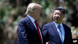 川普总统和中国国家主席习近平4月7日在佛罗里达海湖庄园进行峰会后一起散步交谈。