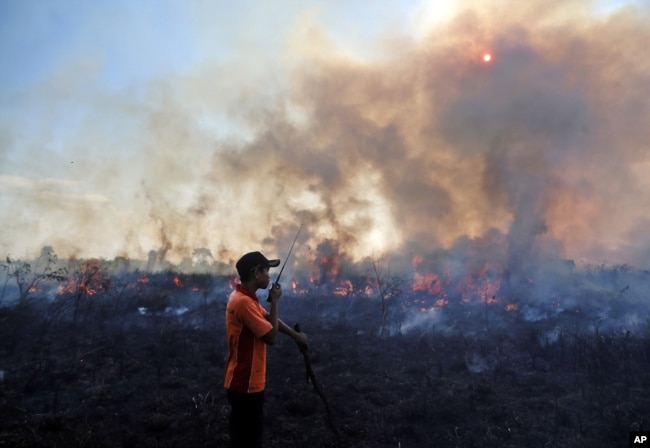Kebakaran hutan di Sumatra bulan Juli tahun 2015 (foto: dok).