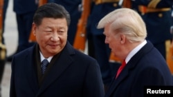 美國川普總統(右)與中國國家主席習近平11月9日資料照。