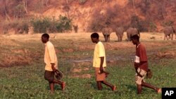  Residents of Kariba cross a stream in full view of elephants waiting to drink water in this November 2005 file photo. (AP Photo/Tsvangirayi Mukwazhi)