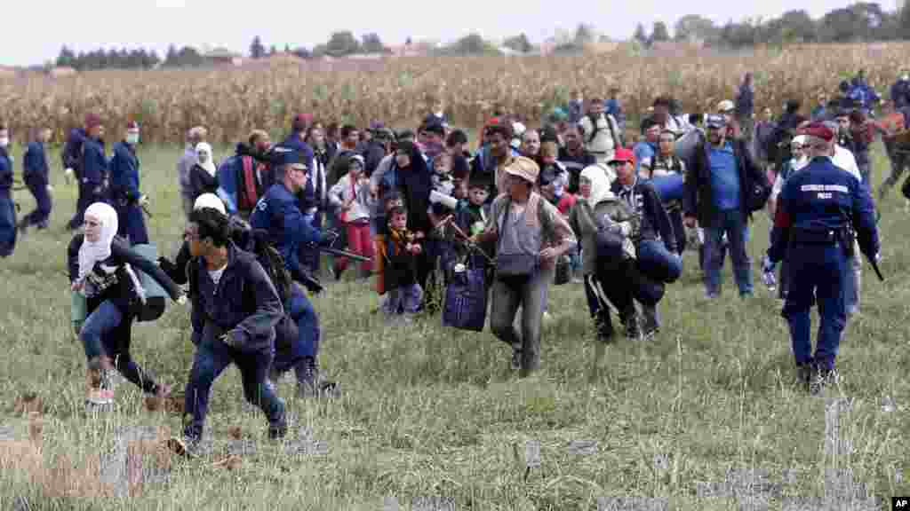 Des migrants s&rsquo;évadent d&rsquo;un centre de transit pour les demandeurs d&#39;asile à Roszke, un village du sud de la Hongrie, 8 septembre 2015.