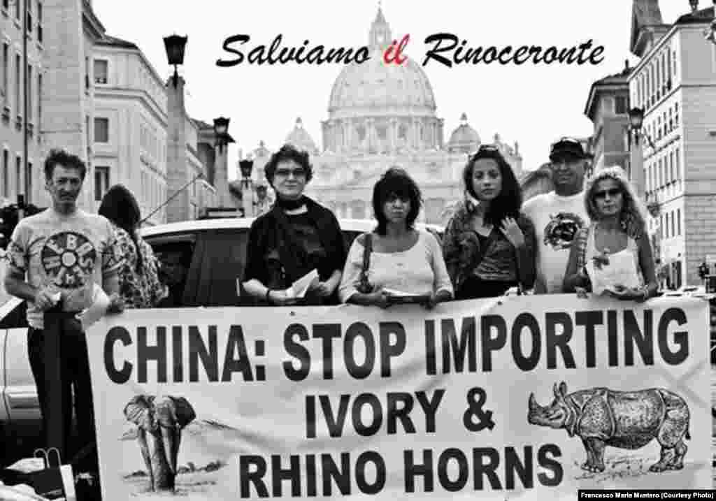 China: Pára de importar marfim e cornos de rinoceronte. Manifestação no Vaticano contra a caça furtiva em Moçambique. Foto de Francesco Maria Mantero. 