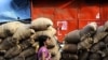  In India, Inadequate Storage Could Mean Wasted Food