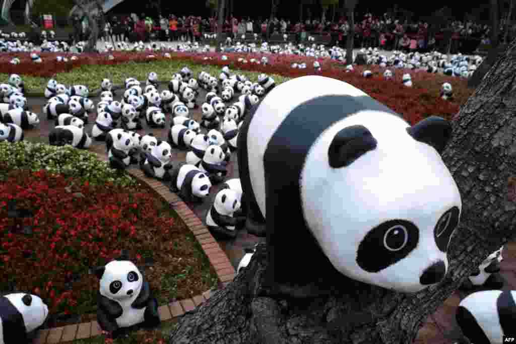 Local residents look at the paper pandas designed by French artist Paulo Grangeon, during an exhibition called "Pandas on Tour" in Taipei, Taiwan.