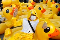 A protester flashes the three-finger protest gesture while wearing an outfit of a yellow duck, which has become a good-humored symbol of resistance during anti-government rallies, Wednesday, Nov. 25, 2020, in Bangkok, Thailand.