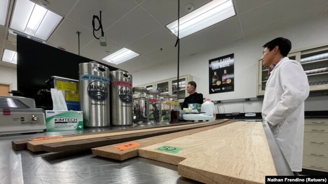 Samples of oak wood to be lightly burnt and cut by Bespoken Spirits for whiskey sit in the company's lab in Menlo Park, California, U.S. on October 20, 2021. (REUTERS/Nathan Frandino)