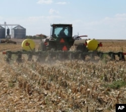 Farmers in the Texas High Plains till just a strip of soil where the seed and fertilizer go. The rest is left alone.