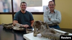 Dr. Ruben Martinez (R), from the Universidad Nacional de la Patagonia San Juan Bosco, and Dr. Matt Lamanna from the Carnegie Museum of Natural History, pose with the skull and neck bones of the new titanosaurian dinosaur species Sarmientosaurus musacchioi in this undated picture. (Courtesy: Matt Lamanna) 
