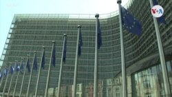 Eurodiputados se pronuncian sobre comicios en Venezuela