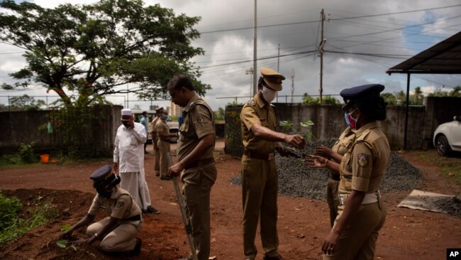 A policeman wearing mask to protect from the coronavirus hands out saplings to plant on World Environment Day in Kochi, Kerala state, India, Friday, June 5, 2020. (AP Photo/R S Iyer)