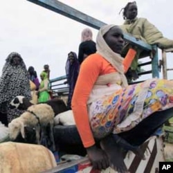 Des habitants du Nil Bleu déplacés par la guerre entre l'armée soudanaise et un groupe rebelle