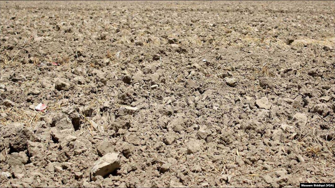 بارش کو ترستی سندھ کی زمین جو بنجر ہونے لگی ہے