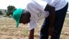 Israel Teaches Irrigation Methods to Senegalese Farming Students