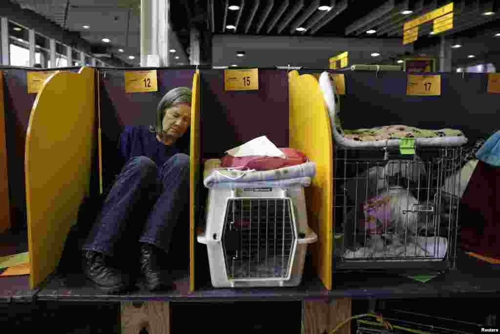 Người chủ ngủ trong khu vực chờ trước khi giám khảo chấm điểm những con chó trong cuộc thi chó Westminster Kennel Club 2016 tại quận Manhattan của thành phố New York, Mỹ.016.