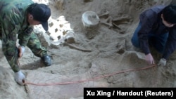 Two technicians measuring a large in situ shoulder bone of Lingwulong shenqi, a newly discovered dinosaur unearthed in northwestern China, appears in this image provided July 24, 2018.