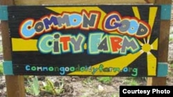 Common Good City Farm provides fresh food and farming classes to a community in Washington, D.C.