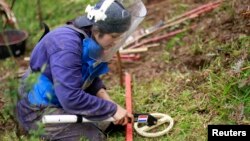 FILE - A woman from the countryside practices searching for landmines during a training session involving mock landmines in El Retiro, Antioquia, Jan. 23, 2013.